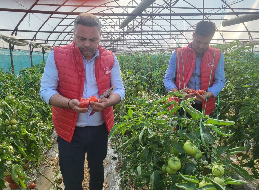 Ministrul Agriculturii afirmă că România este asigurată din punct de vedere al securităţii alimentare