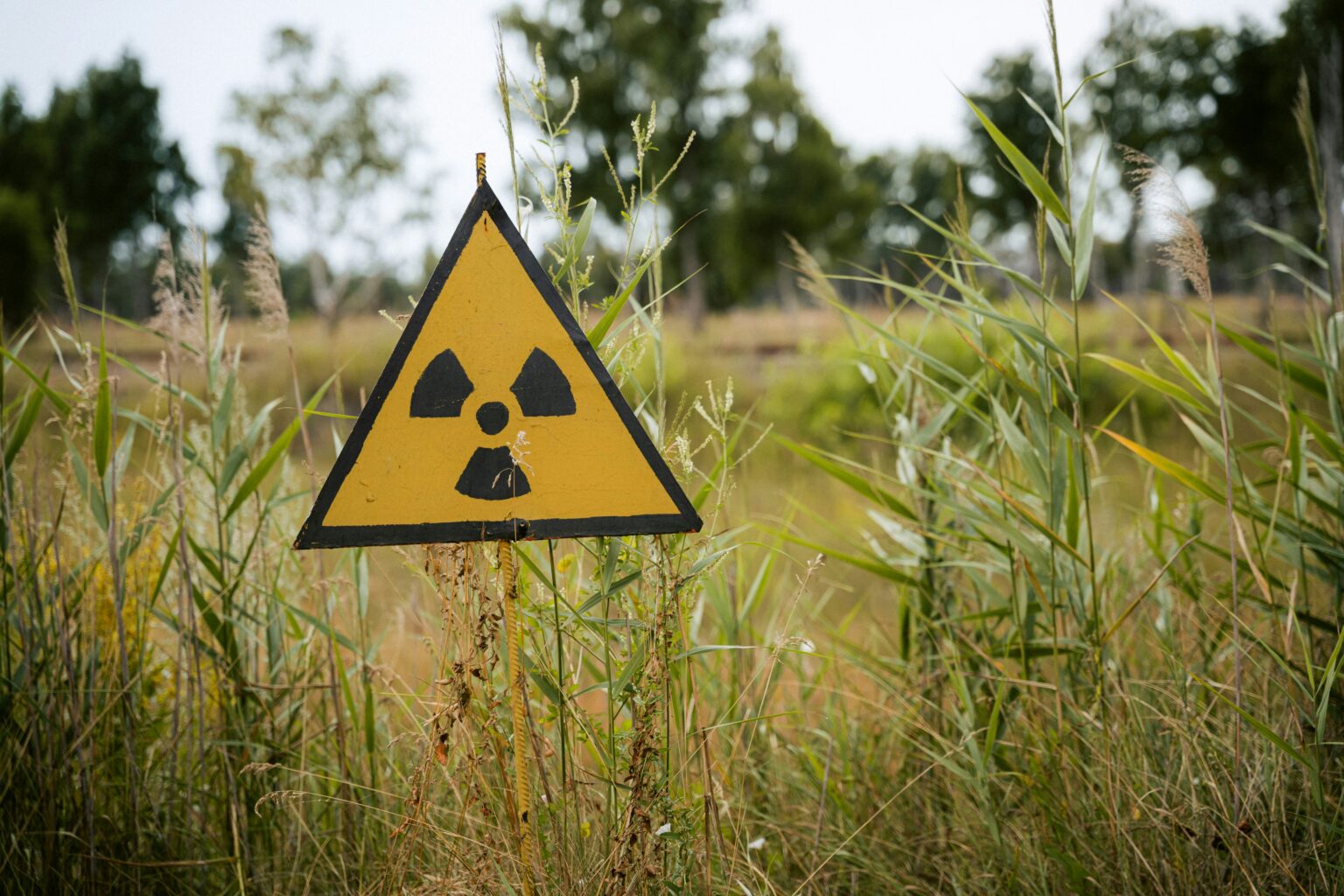 Directorul AIEA avertizează că există riscul unui incident nuclear la centrala Kursk