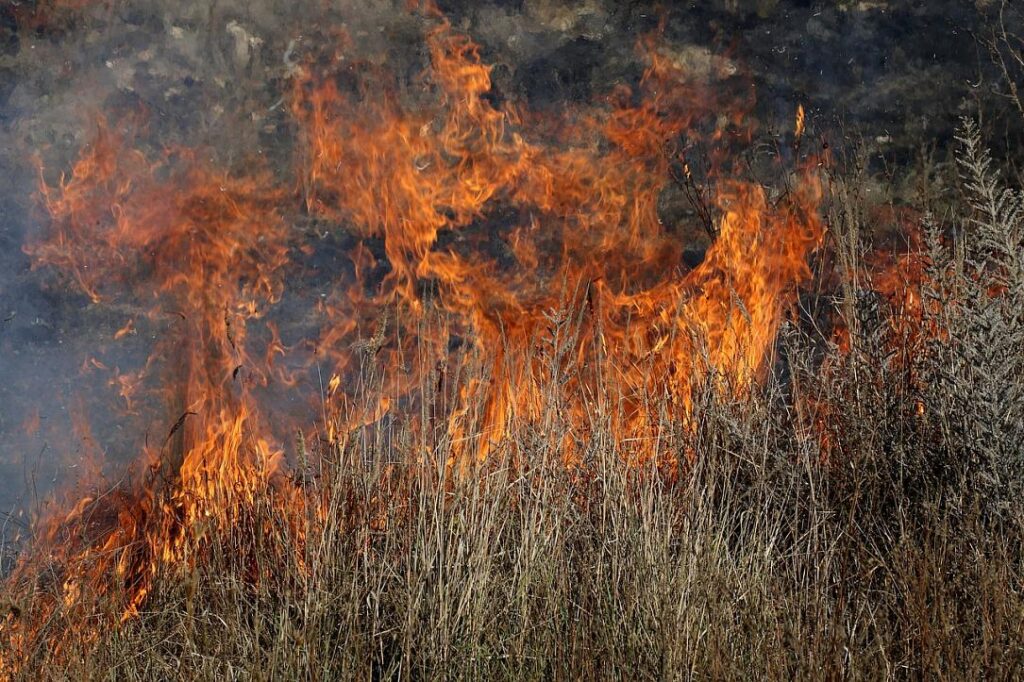UPDATE: VIDEO. Incendiu de vegetație în parcul IOR! Ard 10.000 de mp de vegetație uscată