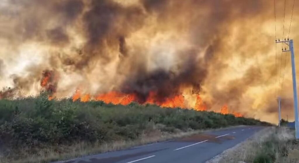 VIDEO. Incendiu masiv de vegetație în Maramureș