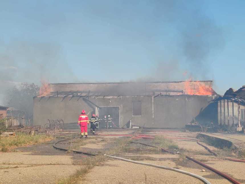 Un incendiu de vegetaţie ameninţă trei sate din Maramureș. 90 de persoane au fost evacuate! Șapte gospodării şi un rezervor de motorină, în flăcări