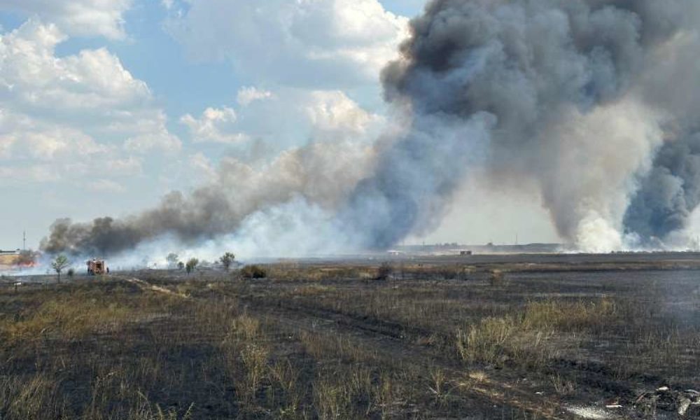 Incendiu de vegetație în Bragadiru! Autoritățile au emis mesaj RO-ALERT