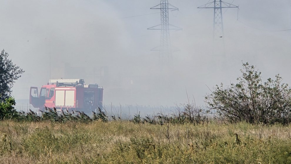 Puternic incendiu de vegetație în zona industrială a județului Buzău