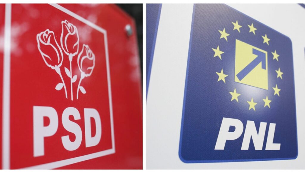 Nou tir de atacuri între PSD şi PNL. De această dată pe tema tinerilor şi a meseriilor acestora