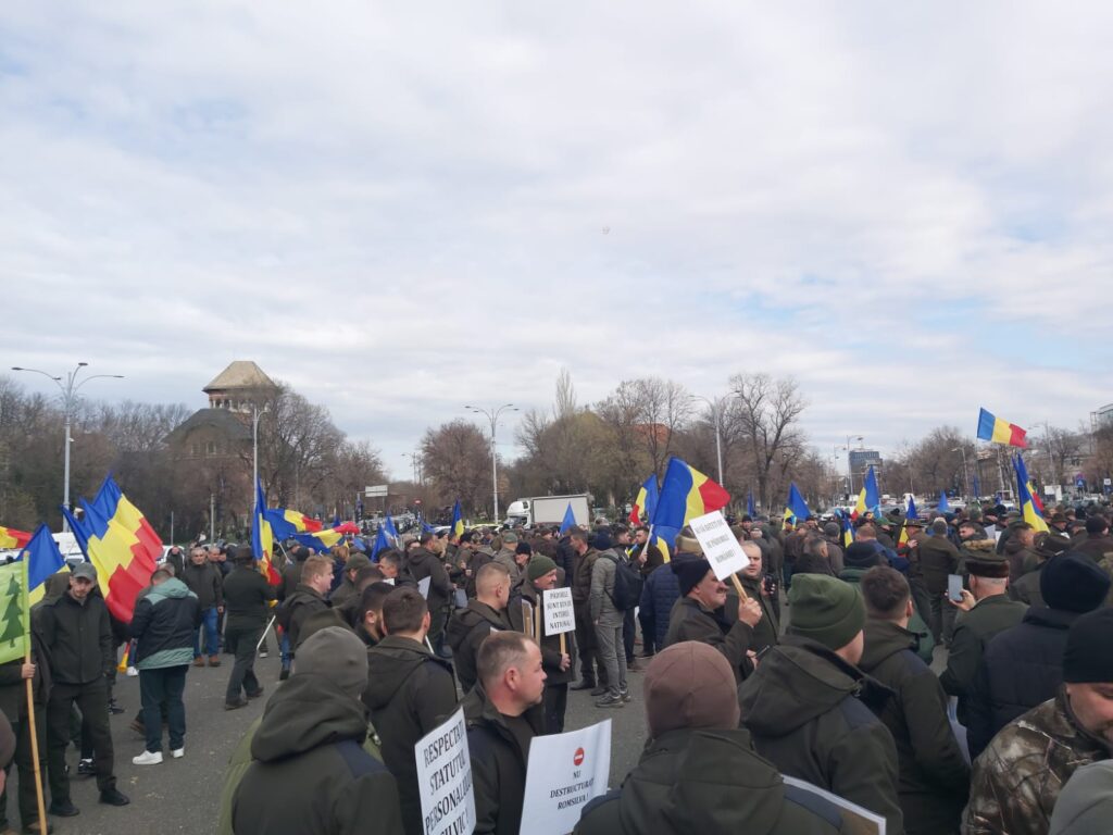 Silvicultorii protestează în Piața Victoriei după tăierea salariilor cu 25%