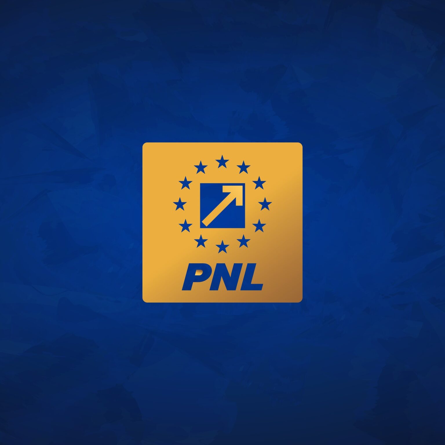 Congres extraordinar al PNL, sâmbătă. Liberalii își aleg noua conducere