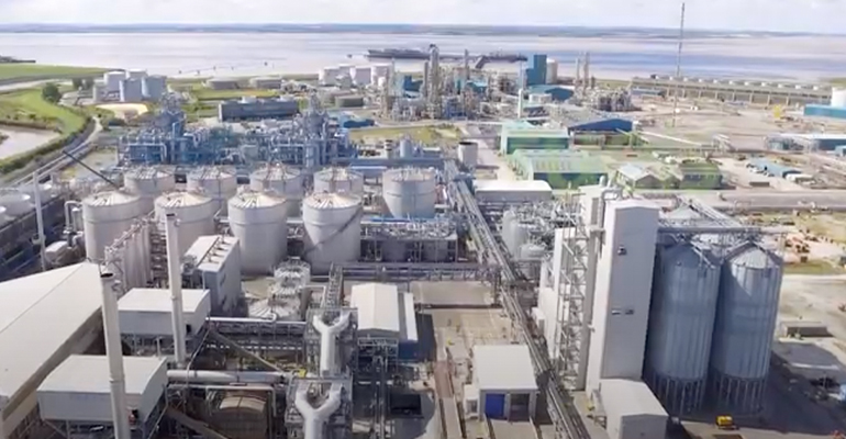 Guvernul de la Londra sacrifică producția de bioetanol în favoarea industriei auto